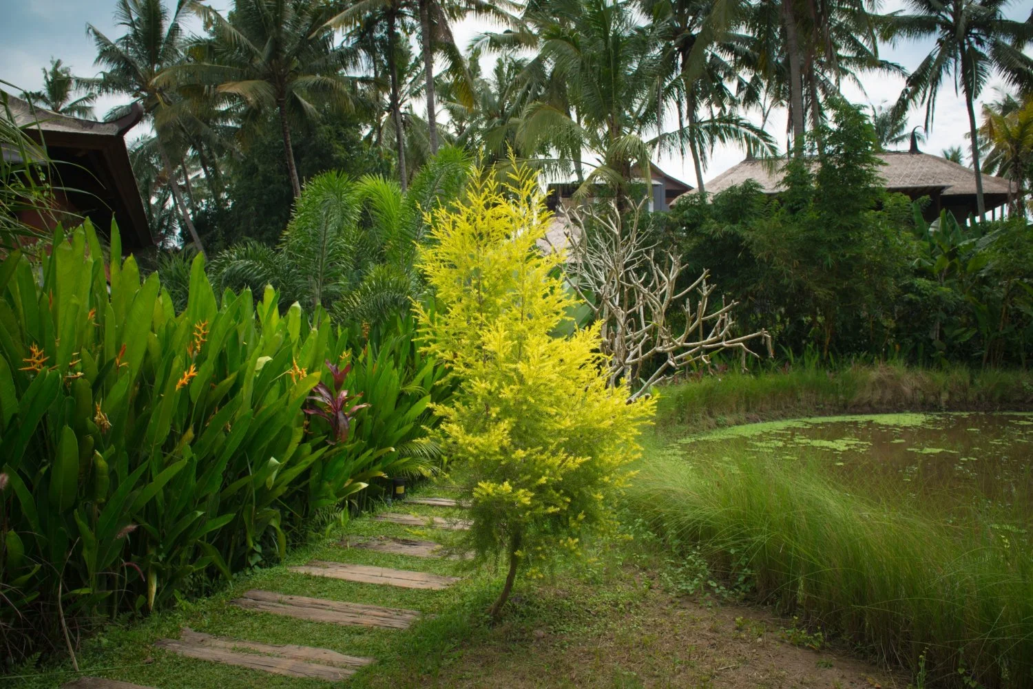 Why Landscaping Services Matter for Safety in December
