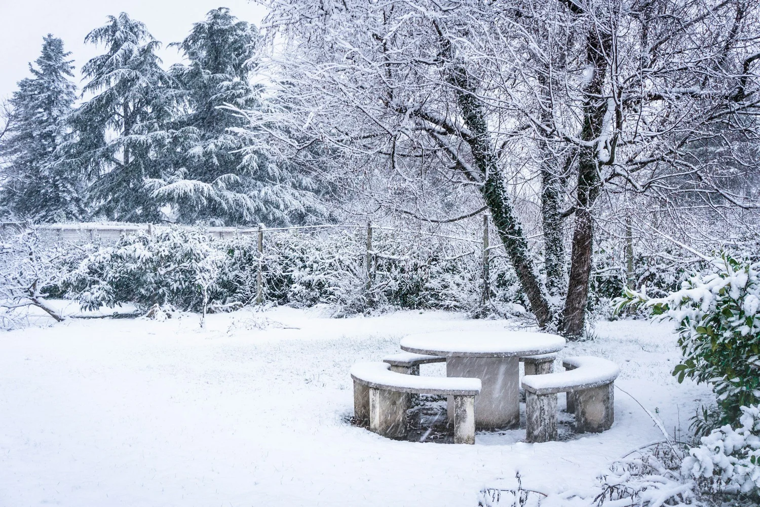 Why Landscaping Services Can Make Winter Walks More Enjoyable