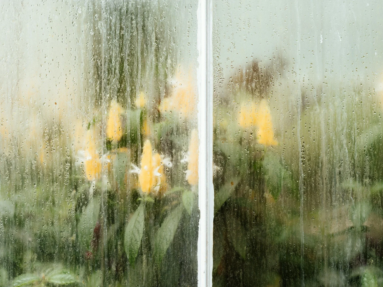 Spring Showers