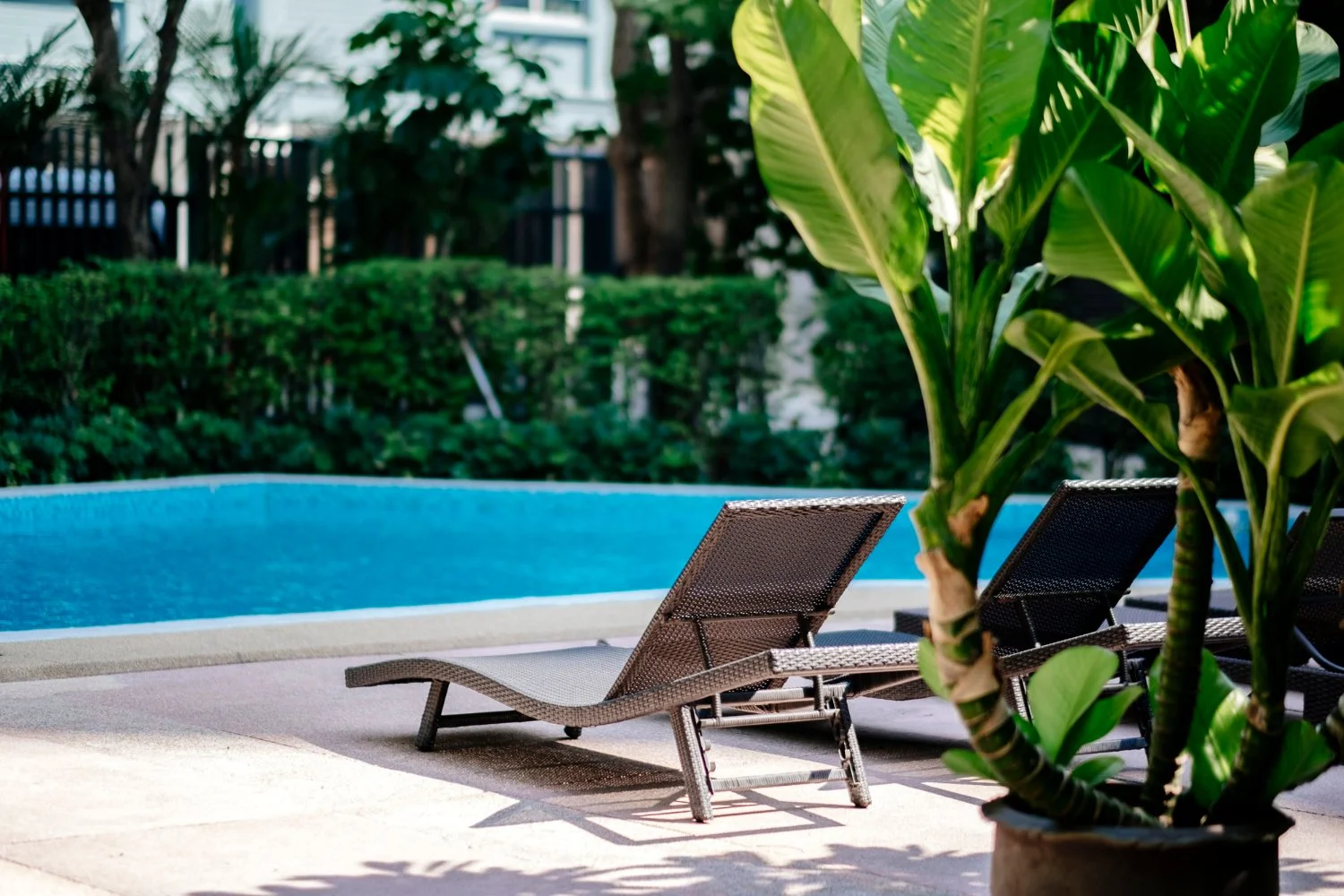 Front Yard Renovation in Los Angeles with Pool-Ready Hardscaping