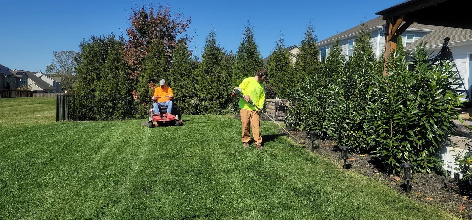 Kids and Grown-Ups Both Love These Landscaping Services