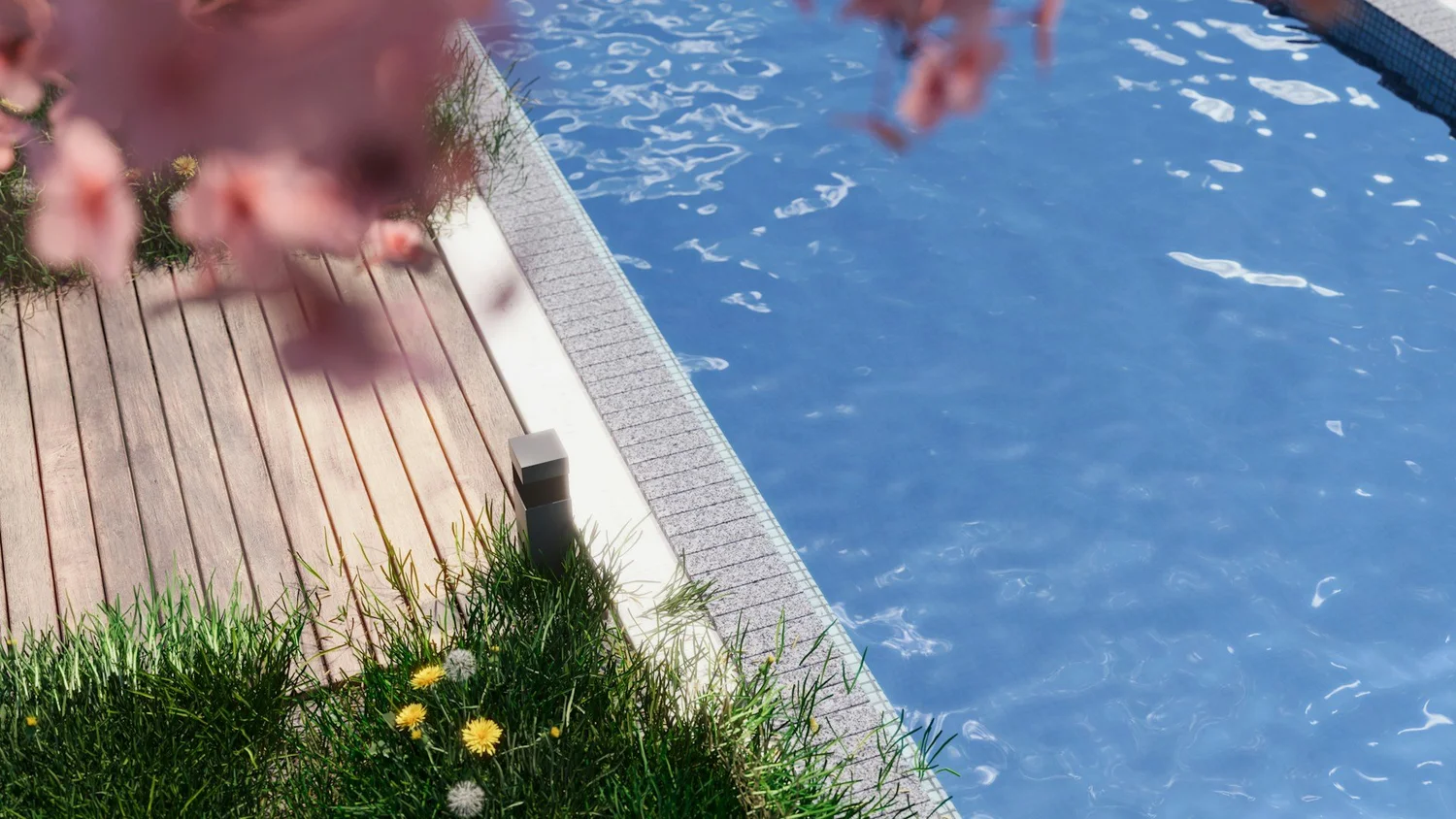 Pool Deck