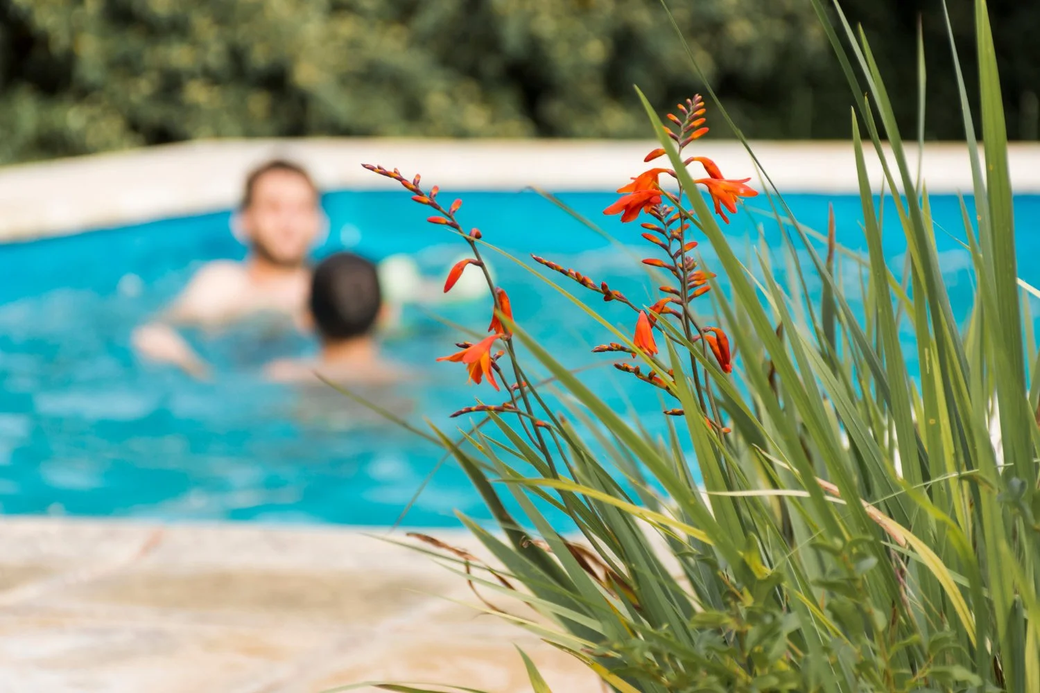 Pool Automation Troubleshooting in Los Angeles: Wi-Fi, Sensors, and Panel Errors